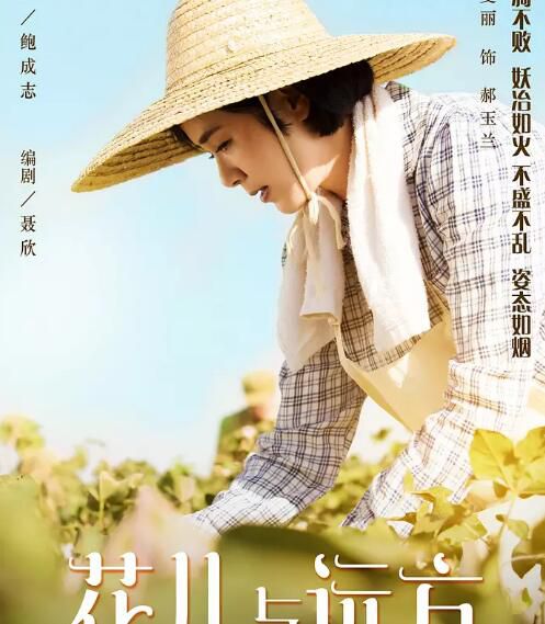 大陸劇 花兒與遠方/蔣雯麗 王誌飛 劉鈞/情感劇 2碟完整版 大陸劇 花兒與遠方/蔣雯麗 王誌飛 劉鈞/情感劇 2碟完整版