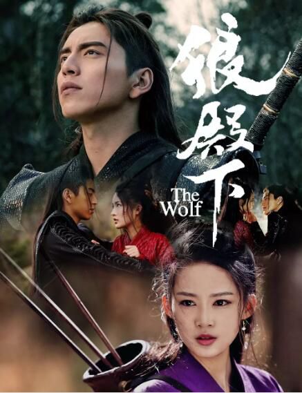 大陸劇 狼殿下 王大陸/李沁 高清盒裝6碟 大陸劇 狼殿下 王大陸/李沁 高清盒裝6碟