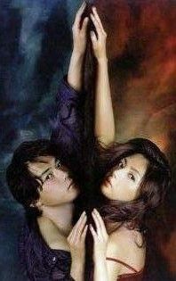 2006犯罪懸疑劇DVD:美麗陷阱 全65集【櫻井淳子/高杉瑞穂】5碟 2006犯罪懸疑劇DVD:美麗陷阱 全65集【櫻井淳子/高杉瑞穂】5碟