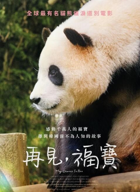 2024韓國紀錄片電影《再見,福寶》福寶/愛寶 韓語中字 盒裝1碟 2024韓國紀錄片電影《再見,福寶》福寶/愛寶 韓語中字 盒裝1碟
