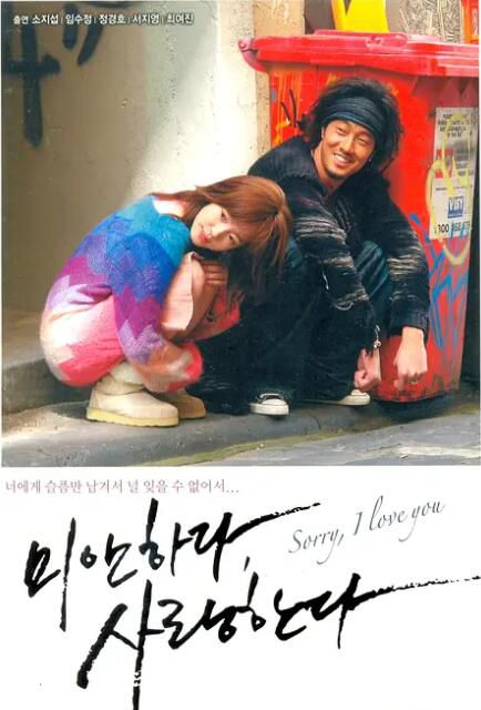 2004高分韓劇 對不起，我愛你/對不起我愛你 蘇誌燮/林秀晶 韓語中字 盒裝4碟