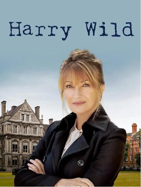 2022愛爾蘭劇 野探哈莉/哈里·懷爾德/Harry Wild 第1-4季 英語中字 盒裝8碟 2022愛爾蘭劇 野探哈莉/哈里·懷爾德/Harry Wild 第1-4季 英語中字 盒裝8碟
