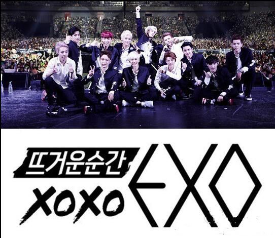韓國綜藝 火熱的瞬間 XOXO EXO 4集全 韓語中字 1DVD