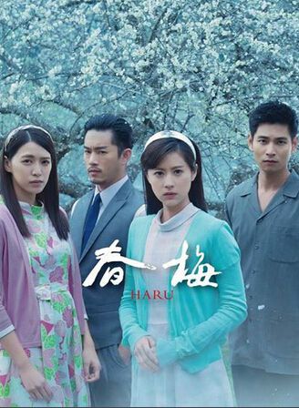 台劇 春梅 林予晞/韓宜邦 國語中字 20碟完整版 台劇 春梅 林予晞/韓宜邦 國語中字 20碟完整版