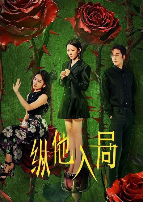 2025大陸劇《縱他入局》趙帥/徐凱鑫 國語中字 盒裝2碟