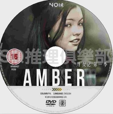 2014年愛爾蘭罪案驚悚迷你劇DVD：尋女記 第一季 Amber S1 全4集