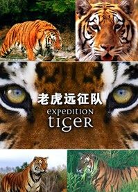 BBC老虎遠征隊--老虎失落之地 BBC老虎遠征隊--老虎失落之地