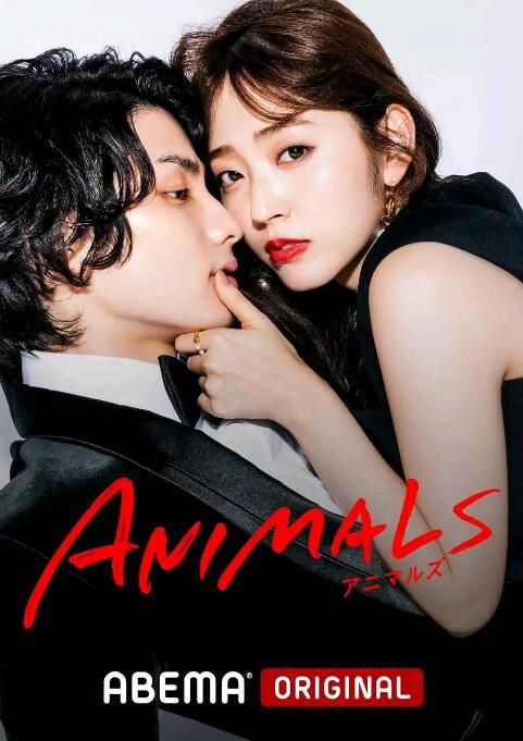 2022日劇 ANIMALS 鈴木愛理/白洲迅 日語中字 2碟 2022日劇 ANIMALS 鈴木愛理/白洲迅 日語中字 2碟