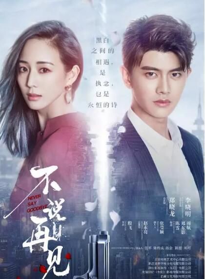大陸劇【不说再见】DVD【任嘉伦/张钧甯】【國語中字】清晰8碟 大陸劇【不说再见】DVD【任嘉伦/张钧甯】【國語中字】清晰8碟