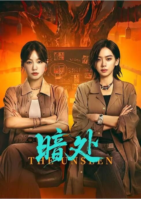 2026大陸劇 暗處/誰在暗處 徐夢潔/王曉贇子 國語中字 盒裝2碟