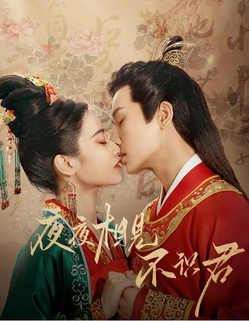 2023大陸劇 夜夜相見不識君 李菲/孫雪寧 盒裝2碟