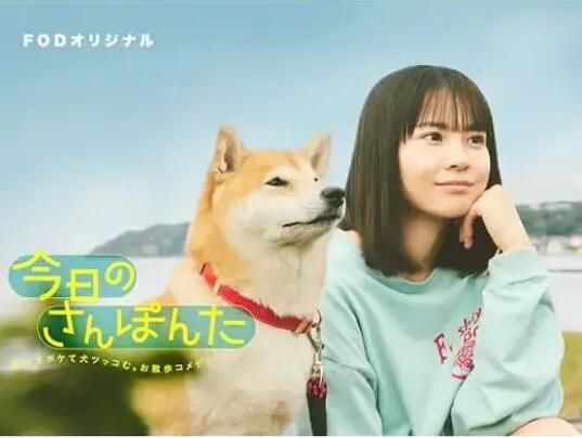 2025日劇《今日份的散步》新谷柚實/安田顯 日語中字 盒裝1碟