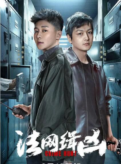 2025大陸劇《法網緝兇/幕後真兇》張曉謙/侯天來 國語中字 盒裝4碟