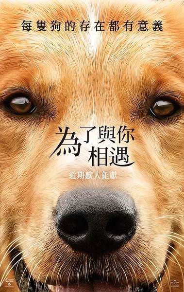 電影【為了與你相遇/一條狗的使命】DVD【英語中字】 電影【為了與你相遇/一條狗的使命】DVD【英語中字】