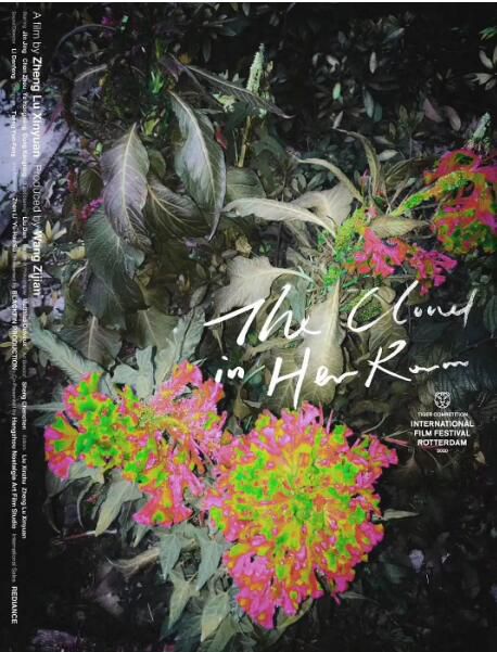 2020國產劇情《她房間里的雲》金晶.國語中字 2020國產劇情《她房間里的雲》金晶.國語中字