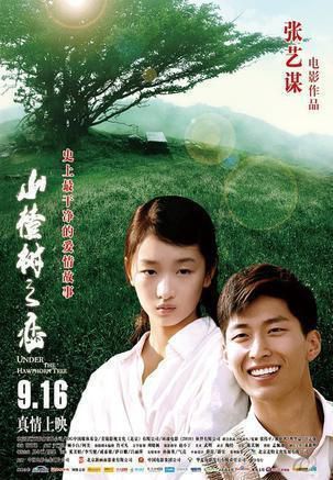 電影 最純潔的愛情故事《山楂樹之戀》 DVD 張藝謀回歸之作 感人淚下 推薦