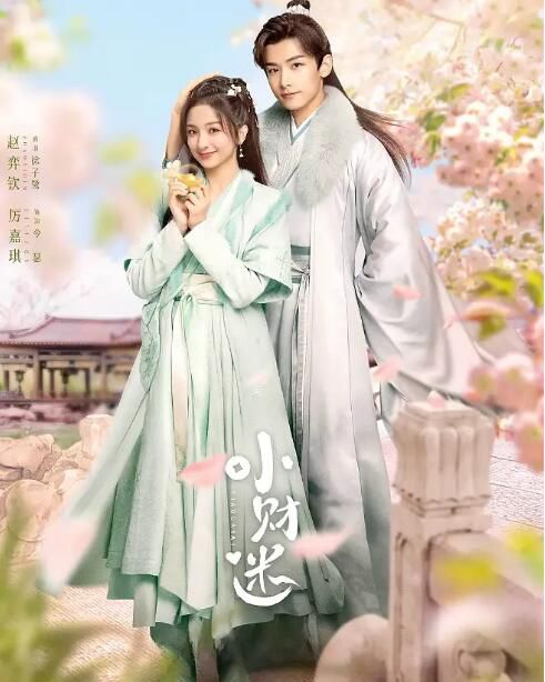 2024大陸劇 小財迷【TV全集+幕後花絮】 厲嘉琪/趙弈欽 高清盒裝5碟 2024大陸劇 小財迷【TV全集+幕後花絮】 厲嘉琪/趙弈欽 高清盒裝5碟