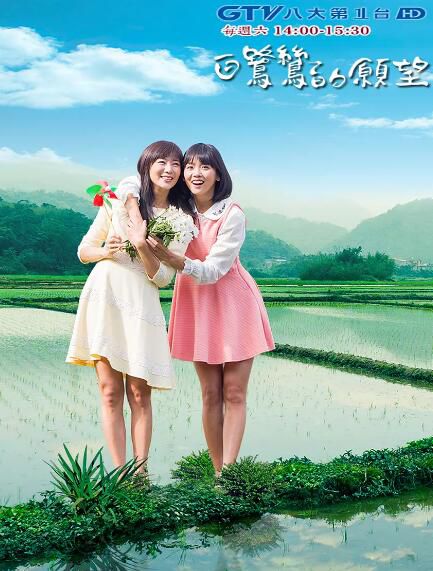 台劇【白鷺鷥的願望】【王淑娟/連靜雯】【國語中字】清晰6碟 台劇【白鷺鷥的願望】【王淑娟/連靜雯】【國語中字】清晰6碟