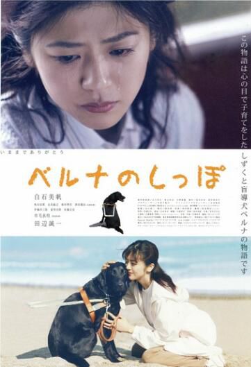 電影 貝魯娜的尾巴 日本又一部感人的導盲犬電影 DVD收藏版 電影 貝魯娜的尾巴 日本又一部感人的導盲犬電影 DVD收藏版
