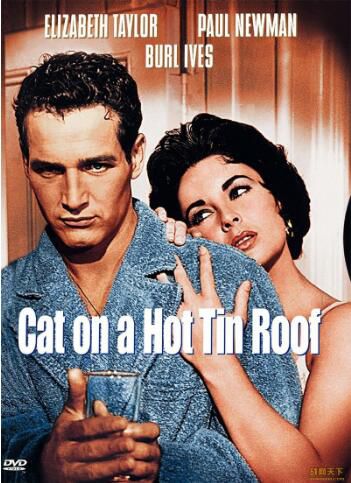 1958電影 熱鐵皮屋頂上的貓 國英語中英文字幕 DVD