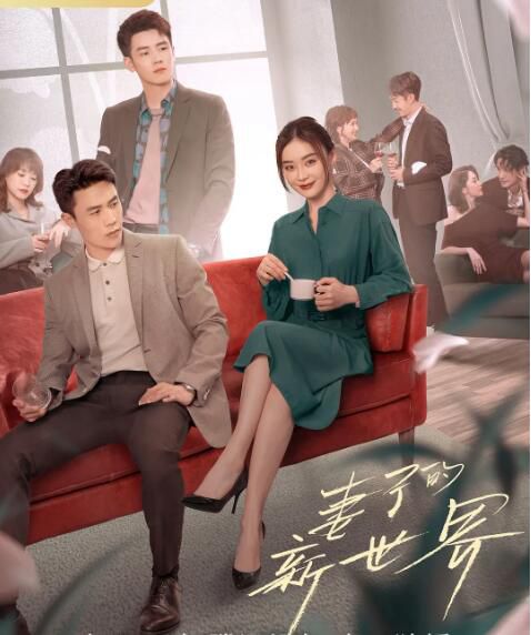 2023大陸劇 妻子的新世界 袁姍姍/杜淳 高清盒裝4碟 2023大陸劇 妻子的新世界 袁姍姍/杜淳 高清盒裝4碟