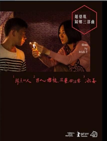 電影【趙德胤歸鄉三部曲:歸來的人+窮人·榴蓮·麻藥·偷渡客+冰毒】3碟 電影【趙德胤歸鄉三部曲:歸來的人+窮人·榴蓮·麻藥·偷渡客+冰毒】3碟