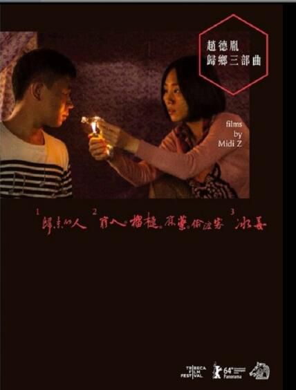 電影【趙德胤歸鄉三部曲：歸來的人+窮人·榴蓮·麻藥·偷渡客+冰毒】3碟