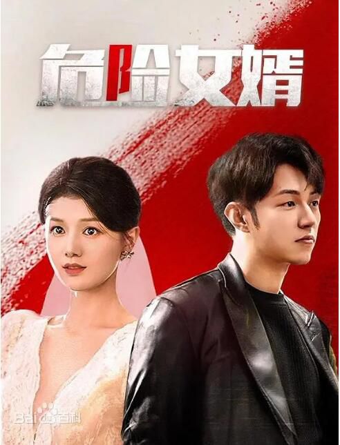 2025大陸短劇《危險女婿》楊業明/余冰慧 國語中字 盒裝2碟