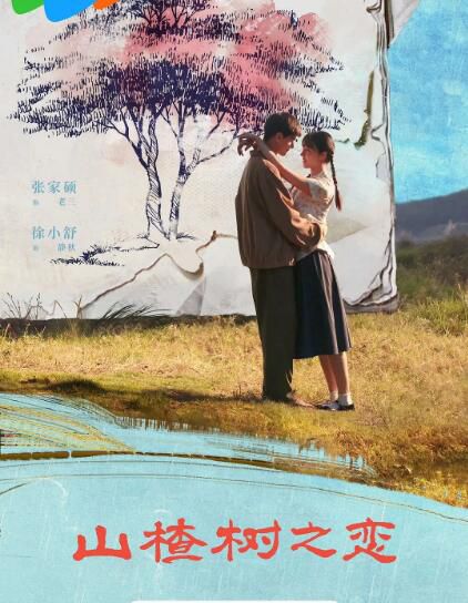 2025大陸劇《山楂樹之戀》張家碩/徐小舒 國語中字 盒裝1碟