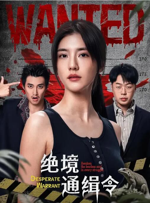 2025大陸劇 絕境通緝令 吳千語/杜海濤 國語中字 盒裝2碟