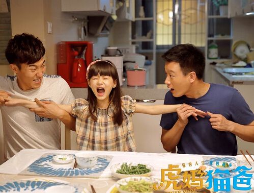 大陸劇【虎媽貓爸】【國語中字】【趙薇 佟大為】7碟 大陸劇【虎媽貓爸】【國語中字】【趙薇 佟大為】7碟