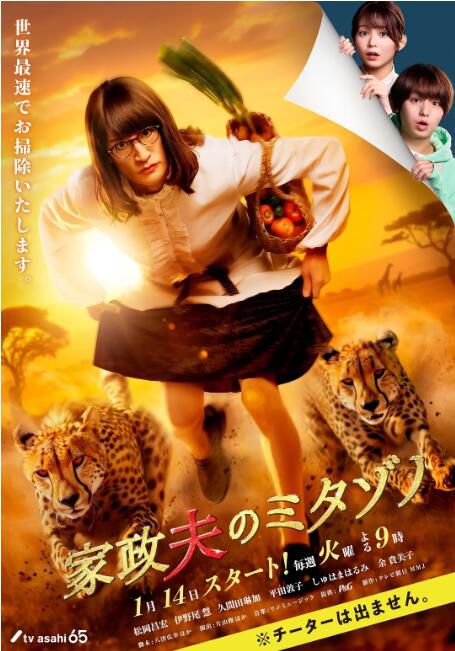 2025高分日劇 家政夫三田園7 松岡昌宏 日語中字 盒裝2碟