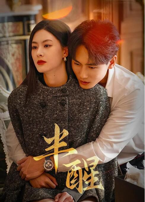 2026大陸劇 半醒 趙夕汐/謝予望 國語中字 盒裝2碟