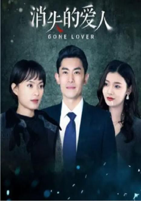 2025大陸劇《消失的愛人》倪菘陽/王星辰 國語中字 盒裝2碟