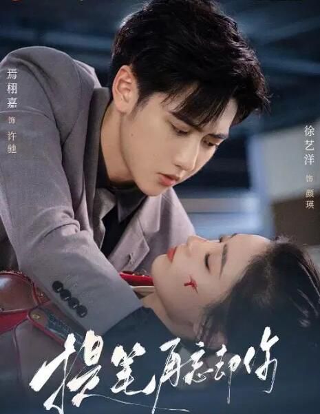2025大陸劇《提筆再忘卻你》徐藝洋/焉栩嘉 國語中字 盒裝2碟 2025大陸劇《提筆再忘卻你》徐藝洋/焉栩嘉 國語中字 盒裝2碟