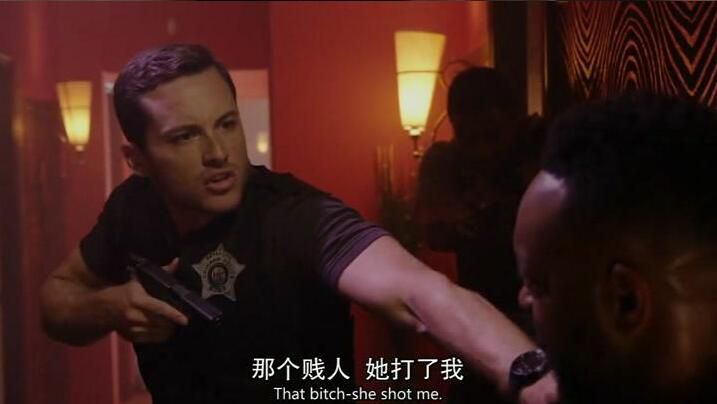 罪案劇美劇DVD:芝加哥警署 第1-7季 20碟 罪案劇美劇DVD:芝加哥警署 第1-7季 20碟