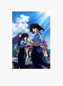 新逮捕令-全速前進了完整+劇場版2碟DVD 新逮捕令-全速前進了完整+劇場版2碟DVD
