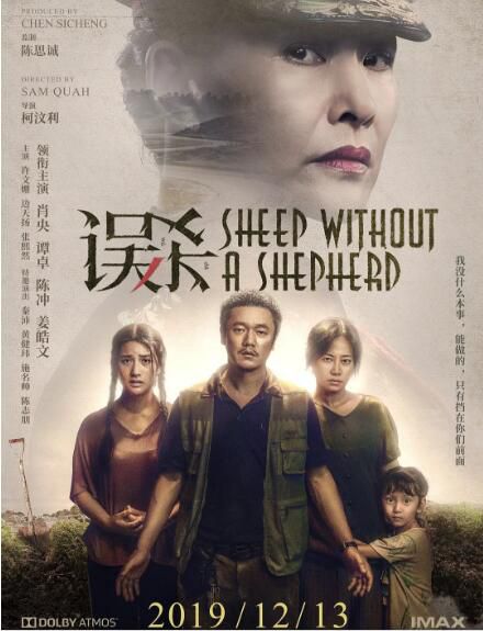 2019高分懸疑犯罪電影 誤殺/誤殺瞞天記中國版 肖央/譚卓 高清盒裝DVD