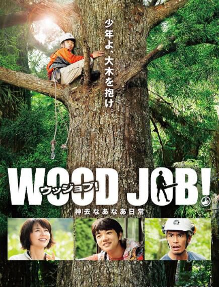 電影 哪啊哪啊神去村 WOOD JOB！戀上春樹 高清DVD盒裝