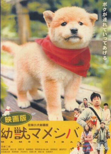 豆柴小犬/尋母三千里 日本超感人可愛狗狗電影 DVD收藏版 豆柴小犬/尋母三千里 日本超感人可愛狗狗電影 DVD收藏版