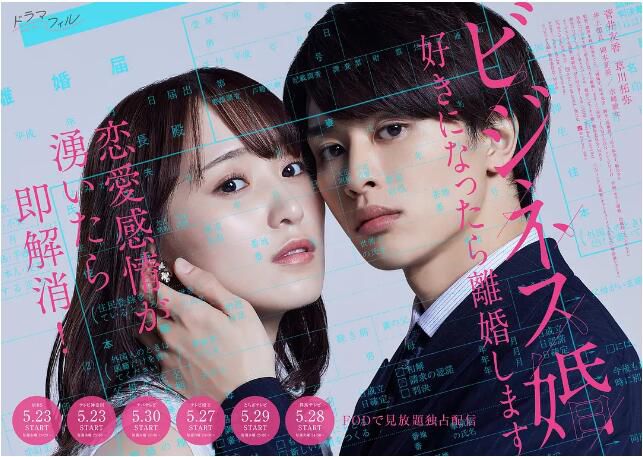 2024日劇《商業婚姻—喜歡上了就離婚》菅井友香 日語中字 盒裝1碟 2024日劇《商業婚姻—喜歡上了就離婚》菅井友香 日語中字 盒裝1碟