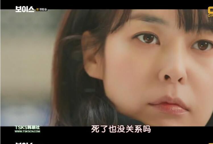 韓劇DVD:VOICE 聲命線/奪命殺聲 1-3季 9碟 韓劇DVD:VOICE 聲命線/奪命殺聲 1-3季 9碟