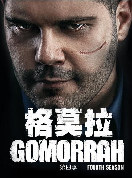 2019意大利犯罪劇DVD：格莫拉 第四季 第4季 Gomorra 全12集 2碟