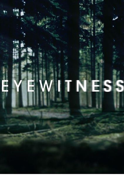 美劇：目擊證人/目擊者/Eyewitness（2016）第一季 3D9