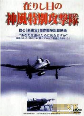 太平洋戰爭之神風特別攻擊隊/入侵萊特島 二戰/空戰/ DVD 太平洋戰爭之神風特別攻擊隊/入侵萊特島 二戰/空戰/ DVD