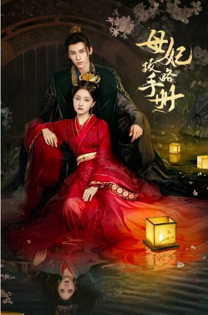 2025大陸劇《母妃攻略手冊》王俊筆/郭星冶 國語中字 盒裝2碟