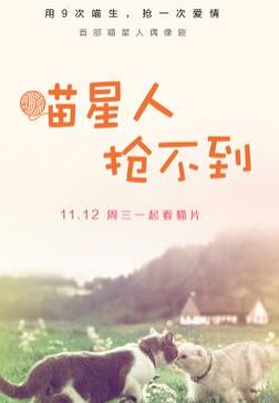 2014大陸劇 喵星人搶不到 國語中字 盒裝1碟 2014大陸劇 喵星人搶不到 國語中字 盒裝1碟
