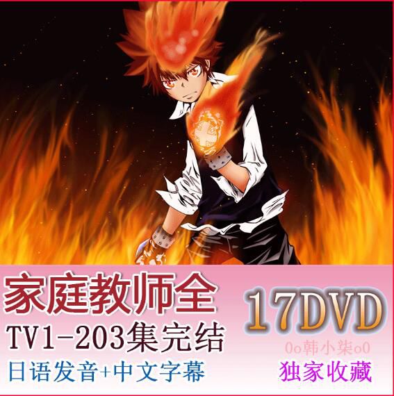 《家庭教師REBORN》全清晰1-203全集 dvd碟機版　17碟