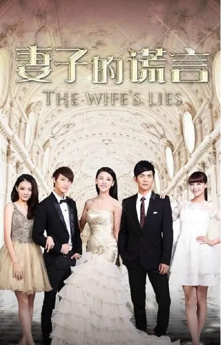 2015大陸劇 妻子的謊言/The Wife's Lies 賈青/張曉龍 國語中字 10碟