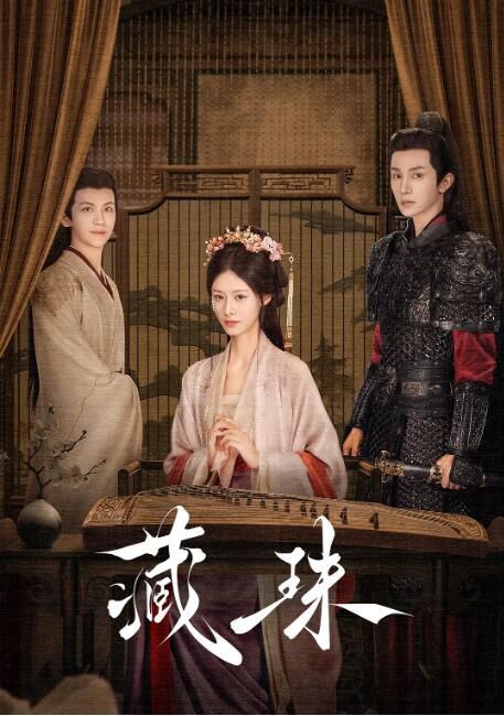 2025大陸劇《藏珠/嫡兄》趙夕汐/張翅 國語中字 盒裝2碟 2025大陸劇《藏珠/嫡兄》趙夕汐/張翅 國語中字 盒裝2碟